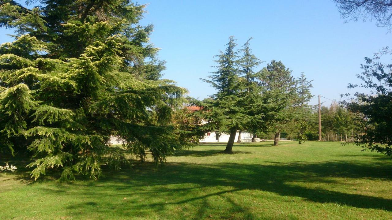 Le Pontet Bed & Breakfast Miramont-de-Guyenne ภายนอก รูปภาพ